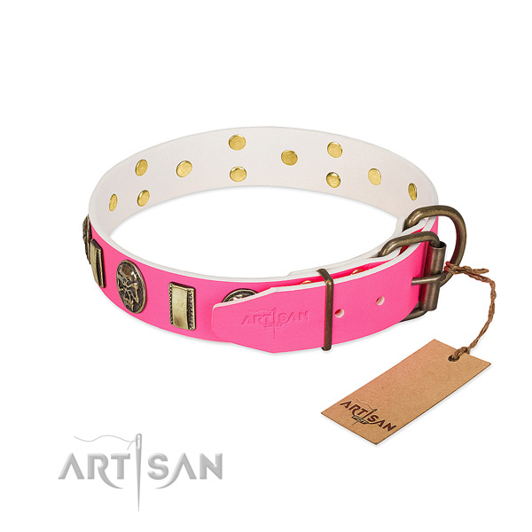 Reliable decorations on leather dog collar for your dog