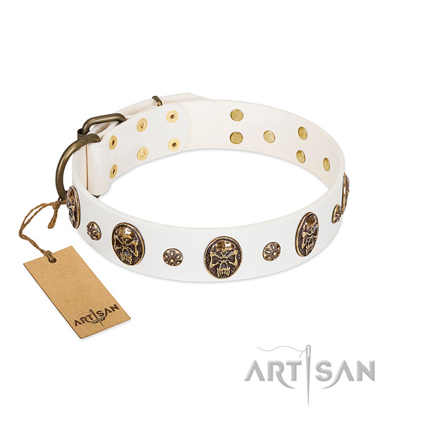 Studded full grain natural leather collar for your canine