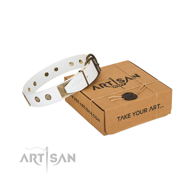 Rust-proof D-ring on dog collar for comfy wearing