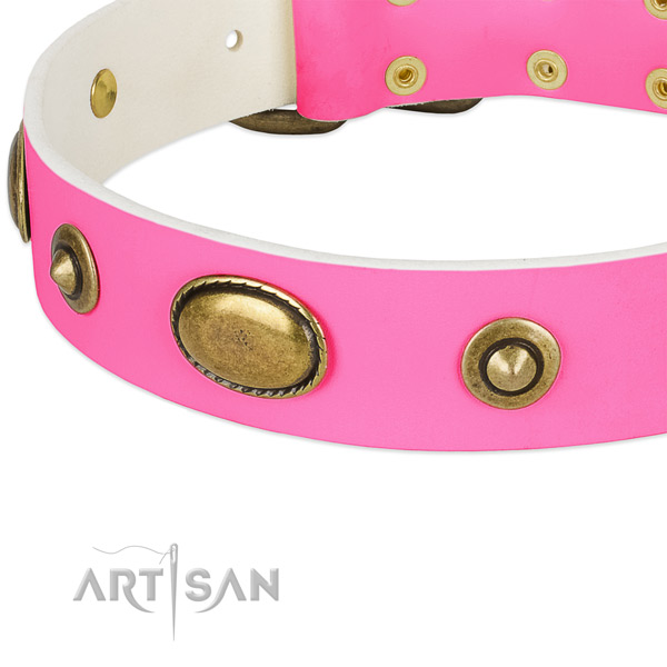 Rust-proof fittings on leather dog collar for your four-legged friend