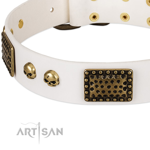 Reliable studs on full grain natural leather dog collar for your canine