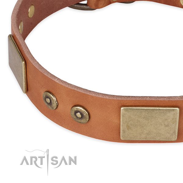 Rust-proof traditional buckle on natural genuine leather dog collar for your dog