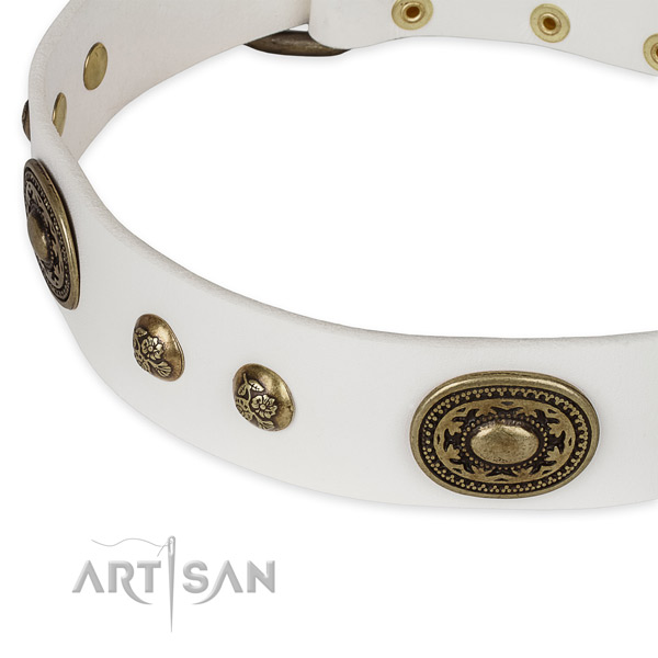 Fashionable genuine leather collar for your beautiful canine