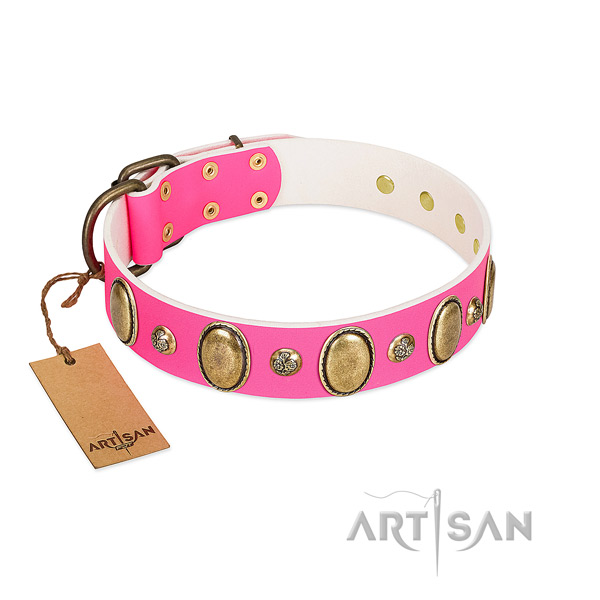 Daily walking soft full grain leather dog collar with studs