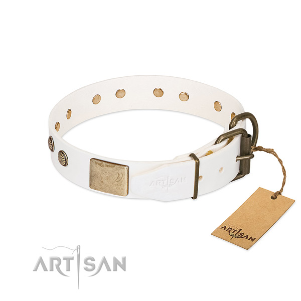 Durable traditional buckle on daily use dog collar