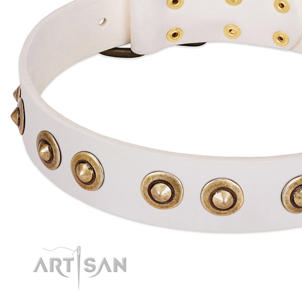 Corrosion proof decorations on leather dog collar for your pet