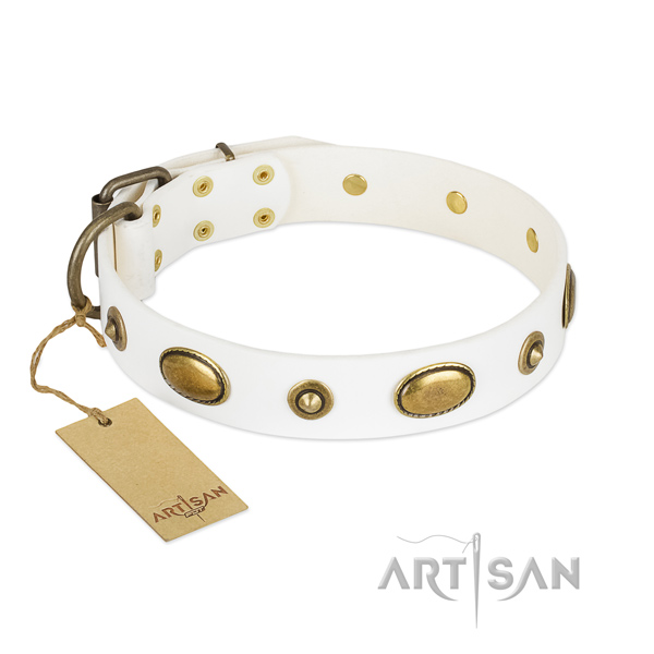 Impressive genuine leather collar for your doggie