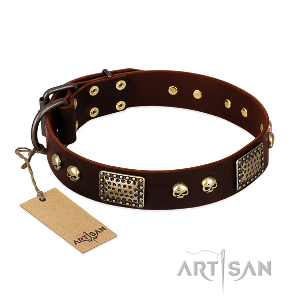 Adjustable full grain natural leather dog collar for stylish walking your pet