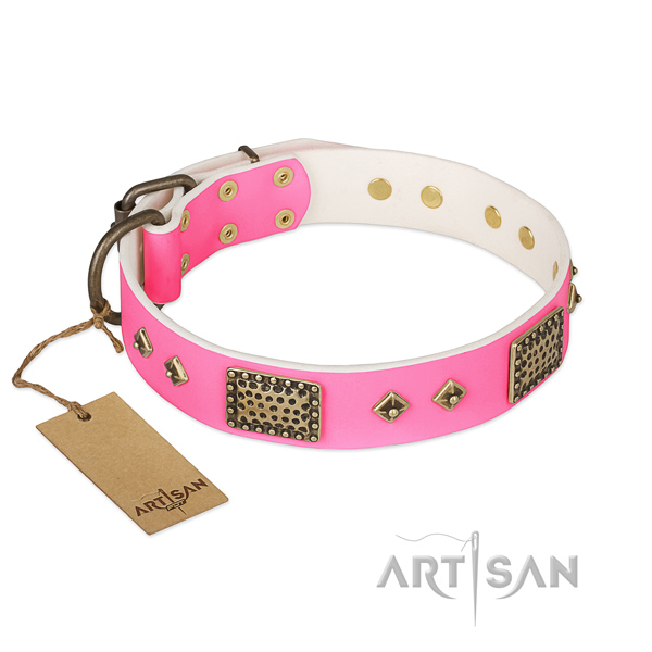 Adjustable genuine leather dog collar for basic training your four-legged friend