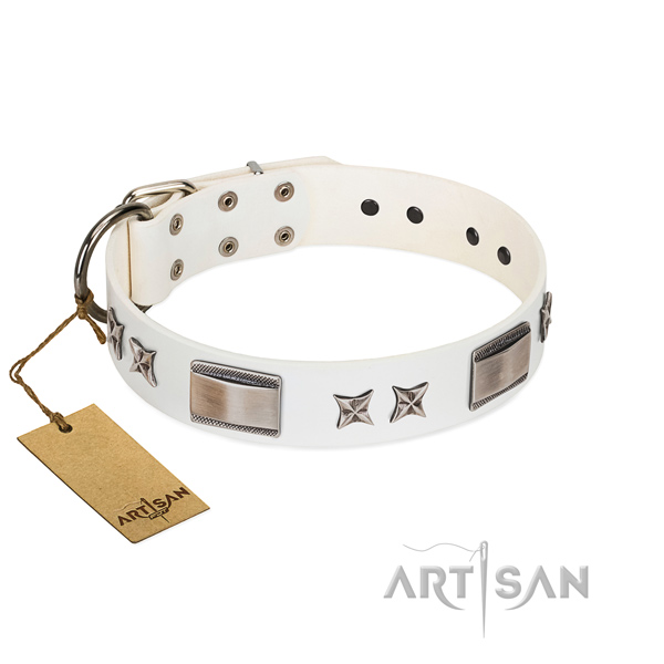 Stylish dog collar of full grain genuine leather
