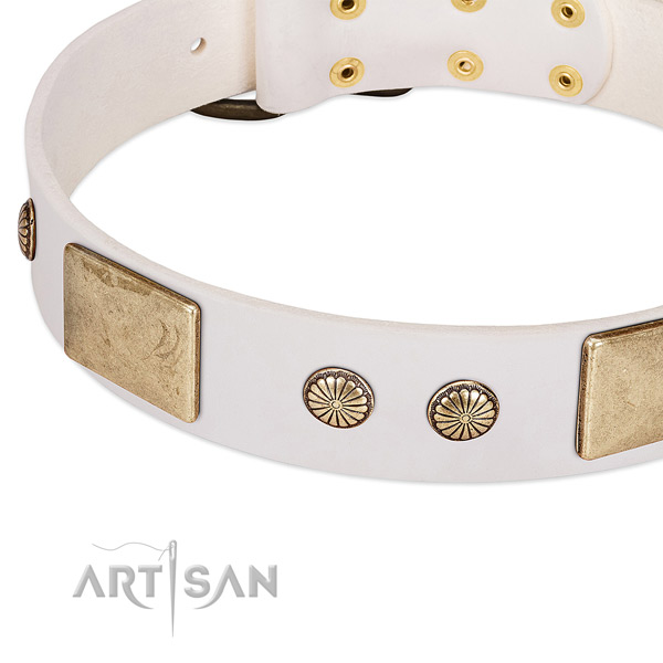 Corrosion proof decorations on natural leather dog collar for your doggie