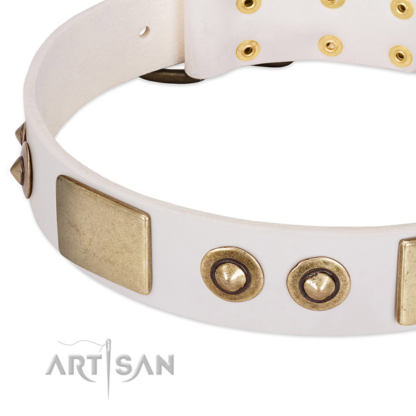 Corrosion proof D-ring on natural genuine leather dog collar for your pet