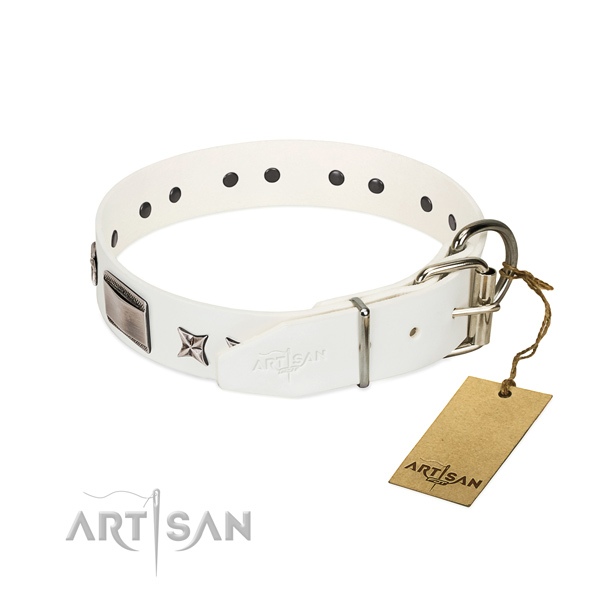 Handcrafted collar of full grain natural leather for your impressive dog