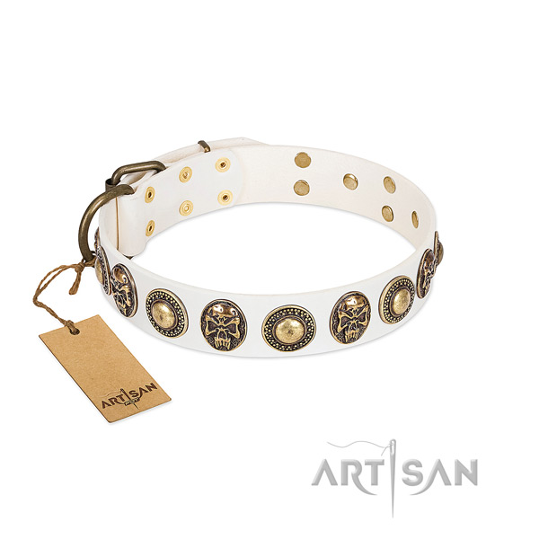 Adjustable leather dog collar for basic training your dog