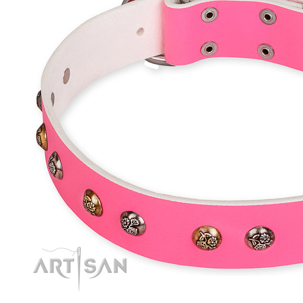 Full grain natural leather dog collar with extraordinary reliable adornments