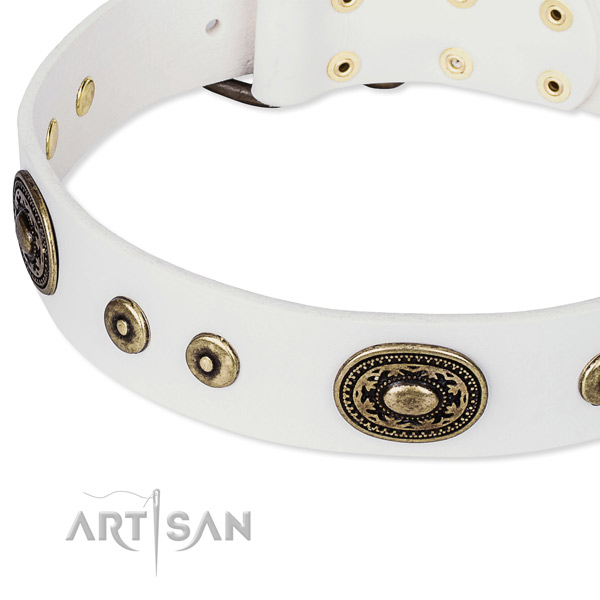 Full grain leather dog collar made of soft material with adornments
