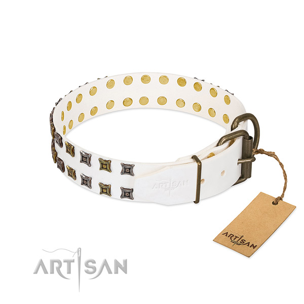 Full grain genuine leather collar with trendy adornments for your four-legged friend