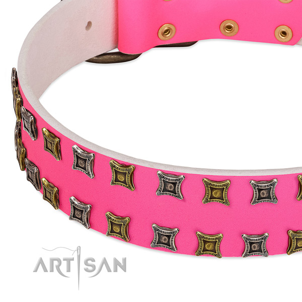 Full grain natural leather dog collar with stunning adornments