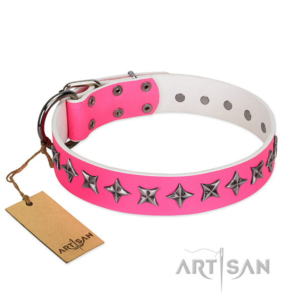 Quality genuine leather dog collar with extraordinary studs