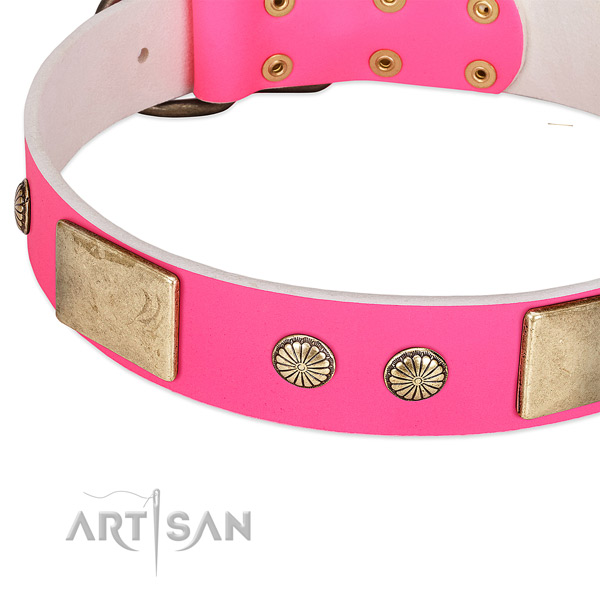 Corrosion proof traditional buckle on genuine leather dog collar for your four-legged friend