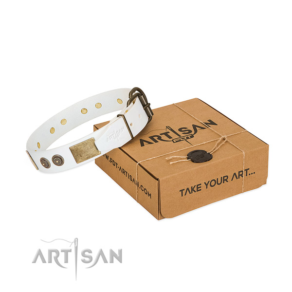 Durable hardware on full grain natural leather dog collar for walking