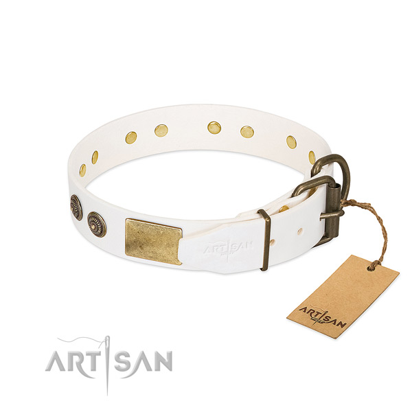 Rust-proof hardware on full grain natural leather collar for fancy walking your doggie