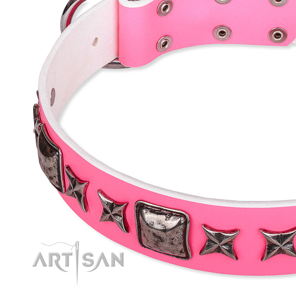 Daily use studded dog collar of durable full grain natural leather