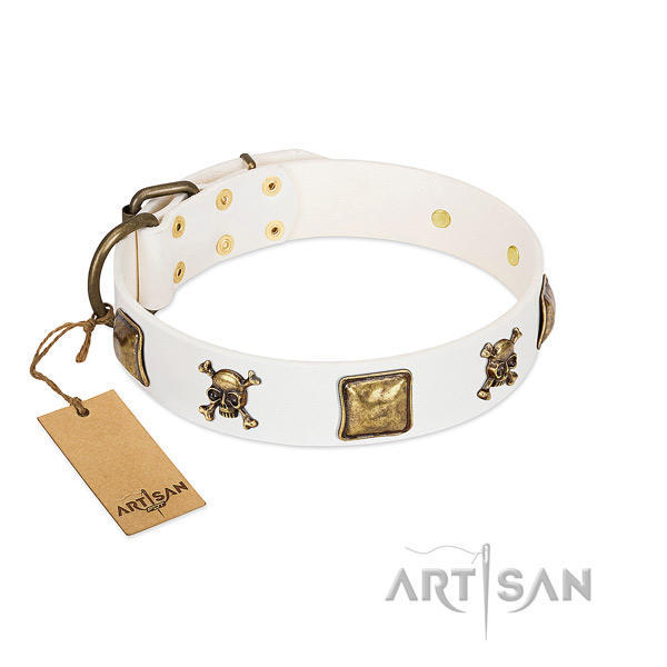Top notch natural leather dog collar with reliable embellishments