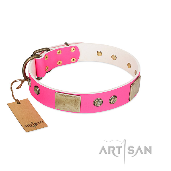 Easy to adjust natural leather dog collar for basic training your pet