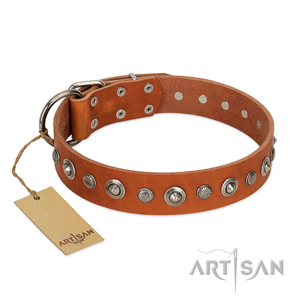Durable leather dog collar with amazing embellishments