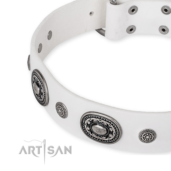Soft to touch genuine leather dog collar crafted for your beautiful canine