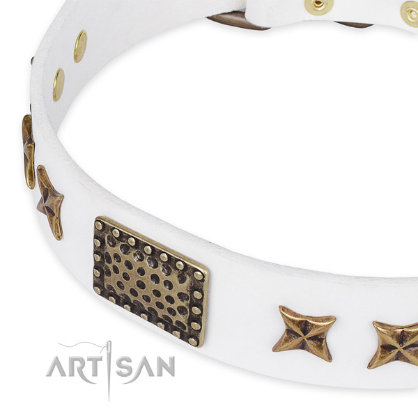 Natural genuine leather collar with rust-proof fittings for your lovely doggie