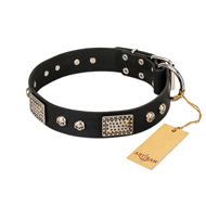 "Pirates Gold" FDT Artisan Black Leather Sharpei Collar with Old Silver Look Plates and Skulls