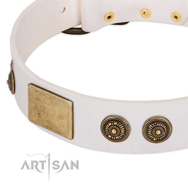 Stylish design dog collar crafted for your impressive four-legged friend