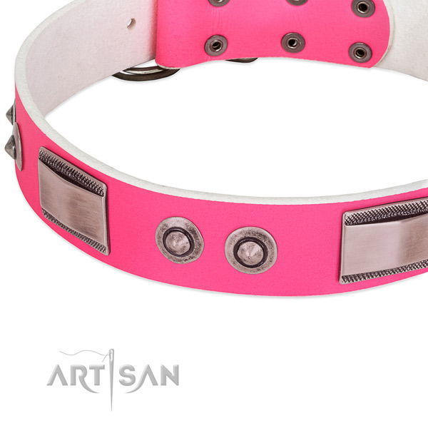 Impressive leather collar with studs for your dog