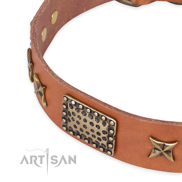 Full grain leather collar with corrosion proof buckle for your impressive pet