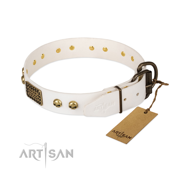 Easy to adjust leather dog collar for walking your pet