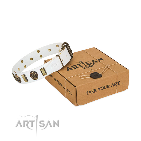 Rust-proof hardware on natural genuine leather dog collar for daily walking