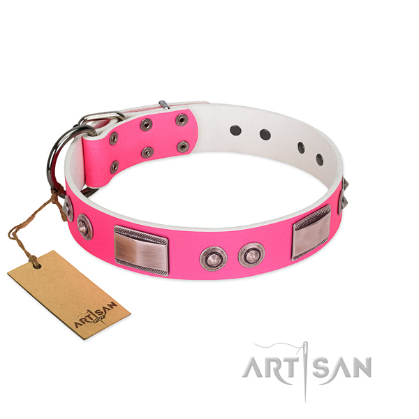Comfortable dog collar of full grain natural leather with embellishments