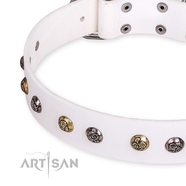 Natural leather dog collar with significant reliable adornments
