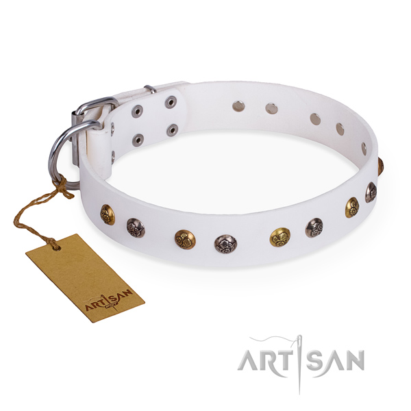 Walking unusual dog collar with strong traditional buckle