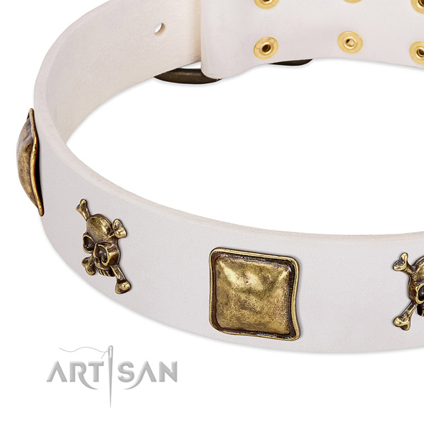 Impressive genuine leather dog collar with durable embellishments