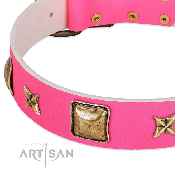 Leather dog collar with incredible decorations