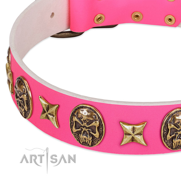 Full grain leather dog collar with exceptional adornments