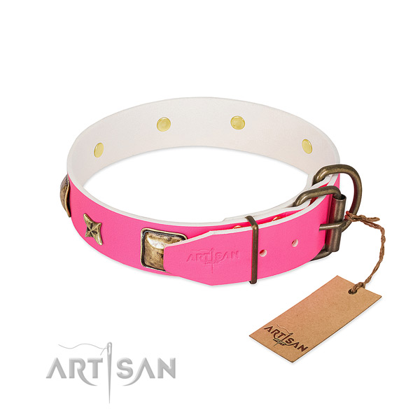 Corrosion proof hardware on leather collar for stylish walking your pet