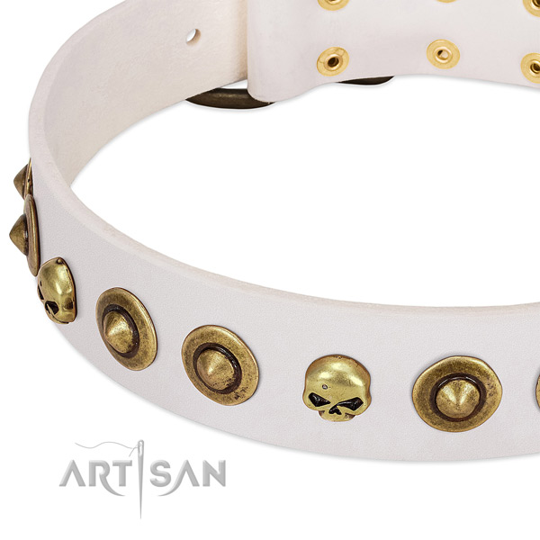 Extraordinary adornments on full grain leather collar for your dog