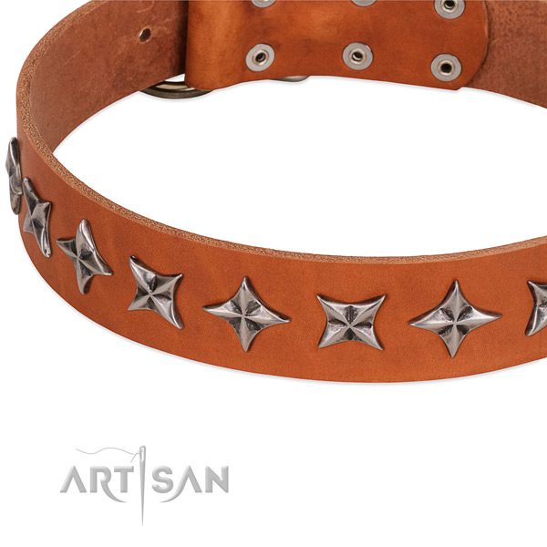 Comfy wearing adorned dog collar of durable full grain genuine leather