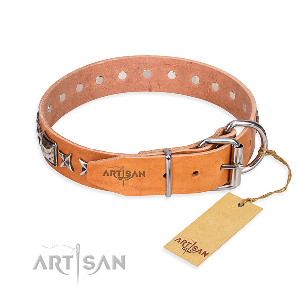 Strong adorned dog collar of full grain genuine leather