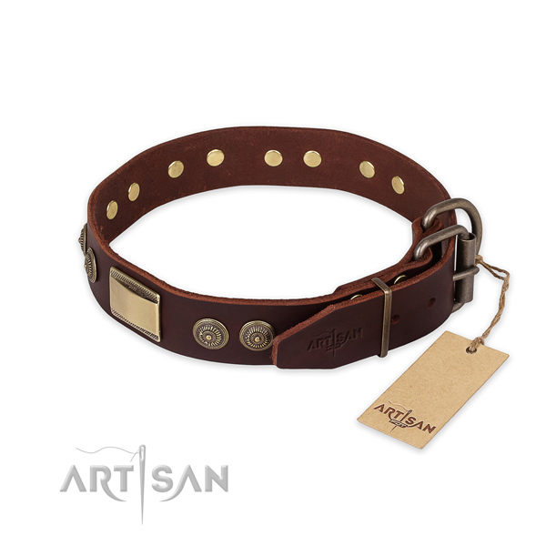 Strong buckle on full grain genuine leather collar for stylish walking your four-legged friend