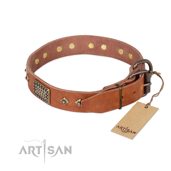 Leather dog collar with reliable hardware and decorations